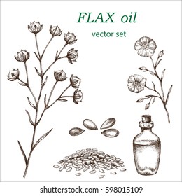 Flax set.  Botanical Illustration. Medicinal plants.  The drawing hands.