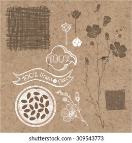 Flax  set. Flax labels, stickers and elements isolated on kraft paper background. 