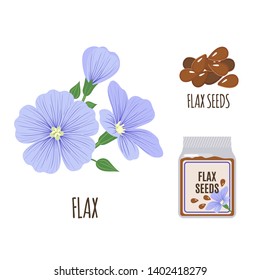 Flax set with seeds in flat style isolated on white background. Organic healthy food. Medicinal herbs collection. Vector illustration.