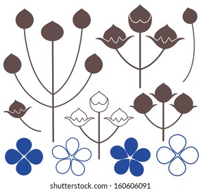 Flax. Vector illustration