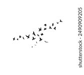 Flaying birds silhouette vector set eps 10