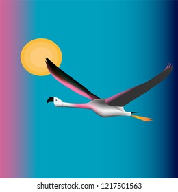 Flaying flamingo, freedom