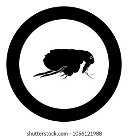 Flea black icon in circle