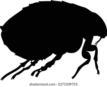 Ilustración en blanco y negro de pulgas