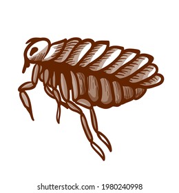 Icono dibujado a mano. Salto de insectos sin alas, succión de sangre humana y animal. Hopper, pictograma parásito. Control de plagas, exterminio, concepto de servicios de remoción. Ilustración vectorial aislada en blanco.