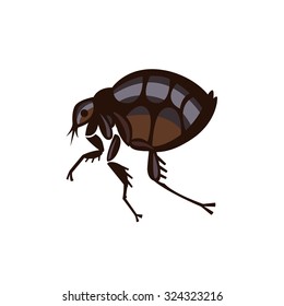 flea home insect parasite vector illustration - set of household pests in pure style