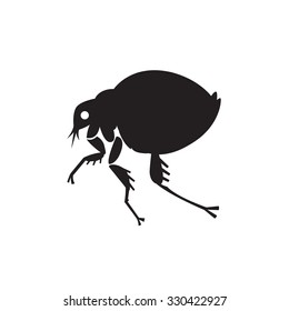 flea home insect parasite vector illustration - set of household pests in pure style