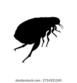 Icono de pulga, silueta de pulga. Diseño de Ilustración vectorial plana aislado sobre fondo blanco.