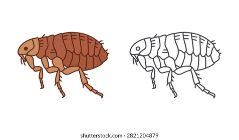 Flea Illustration Detailed Vector Graphic With Color And Outline Versions