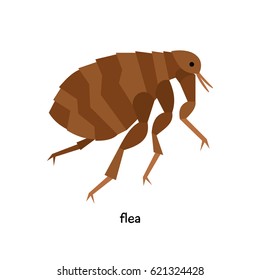 Flea  - Insect Pest, Leading  Parasitic Lifestyle, Necessarily Associated With Particular Host