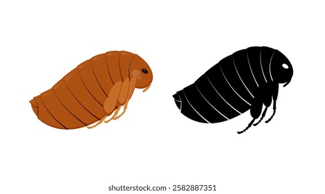 Flea insect and its silhouette showing segmented body, legs and large eye