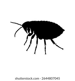 Flea insect silhouette vector flat illustration design.