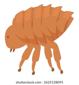 Flea insect walking and spreading disease through bite
