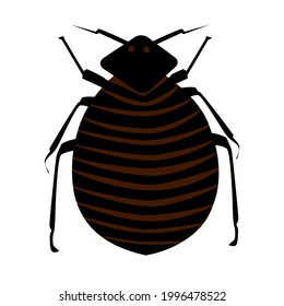 Flea isolated on white background. Cartoon insect pest. Black common flea icon. Bedbug. Household pests. Simple flat design style. 
Pest control, extermination, removal services. Vector illustration