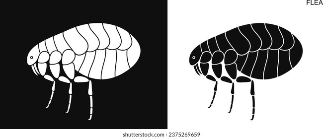 Flea logo. Isolated flea on white background