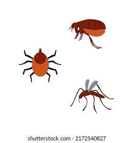 Pulga. Mosquito. Mite. Ilustración vectorial de insectos. Luchador de sangre.