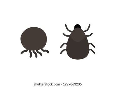 Pulga sobre un fondo blanco. Ilustración vectorial de dibujos animados.