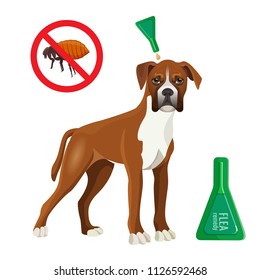 Flea remedy product in container for dog vector illustration