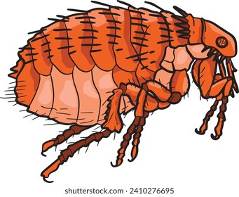 Flea Side View Wild Animal Vector Illustration