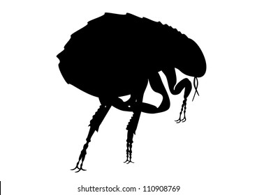 Flea silhouette