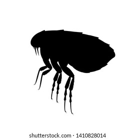 flea silhouette. Pest control service. Pest insect and bug spray symbol. Vector