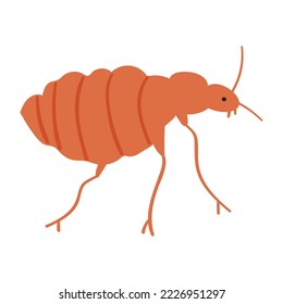 Flea. Simple hand drawn outline illustration on white background.