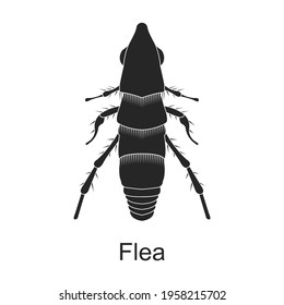 Flea vector black icon. Vector illustration pest insect flea on white background. Isolated black illustration icon of pest insect.