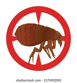 Flea vector icon.Cartoon vector icon isolated on white background flea.