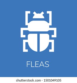  Fleas icon. Editable  Fleas icon for web or mobile.