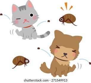 Fleas And Pet Animals