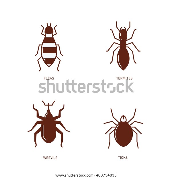 Fleas Termites Weevils Ticks Simple Vector Stock Vector (Royalty Free ...