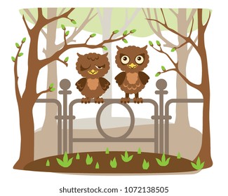 fledgling owls left the nest and sit in the park
