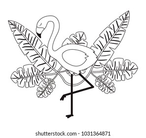 flemish tropical and exotic bird with leafs palm