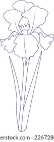 flex de lis iris line art