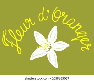 fleur de orange logo