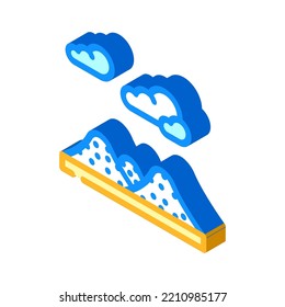 fleur de sel isometric icon vector. fleur de sel sign. isolated symbol illustration