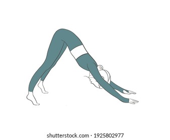 flexible girl doing yoga pose which called down down and dressed in track suit. Healthy lifestyle. Girl is doing exercise for body stretching. Cartoon yoga vector. Isolated illustration. 