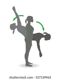 flexion and extension exercises are back for correct posture. vector illustration.