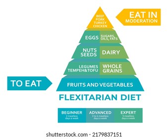 Flexitarian Diet Infographics Pyramid Reduce Animal Stock Vector ...