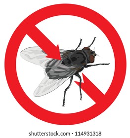 Flies banned. Sign prohibited. Vector illustration.