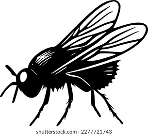 Flies | Black and White Vector illustration
