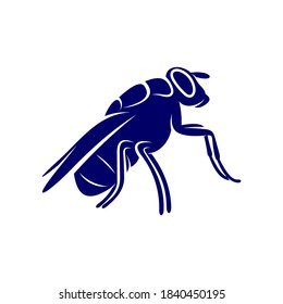 Flies design vector, Illustration Flies design template, Symbol icon