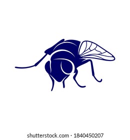 Vector de diseño de moscas, plantilla de diseño de moscas de ilustración, icono Símbolo