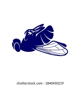 Flies design vector, Illustration Flies design template, Symbol icon