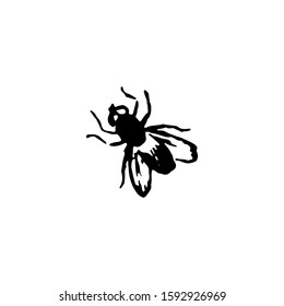 Flies drawing sketch. Hand drawn design vector illustration