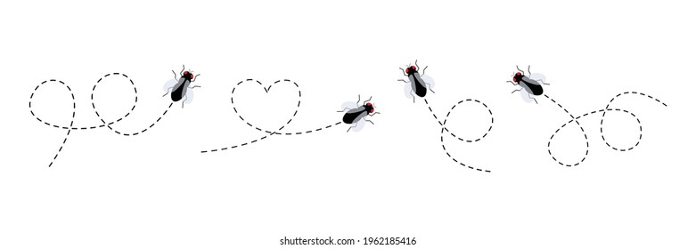 Flies icon set. Fly insect flying on a dotted route. Vector illustration isolated on the white background.