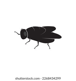 
flies icon vector illustration template
