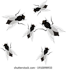 Flies, illustration, vector on a white background.