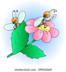 flies on the flower