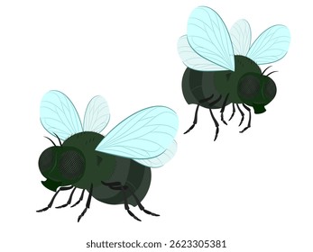 Flies on a white background.
